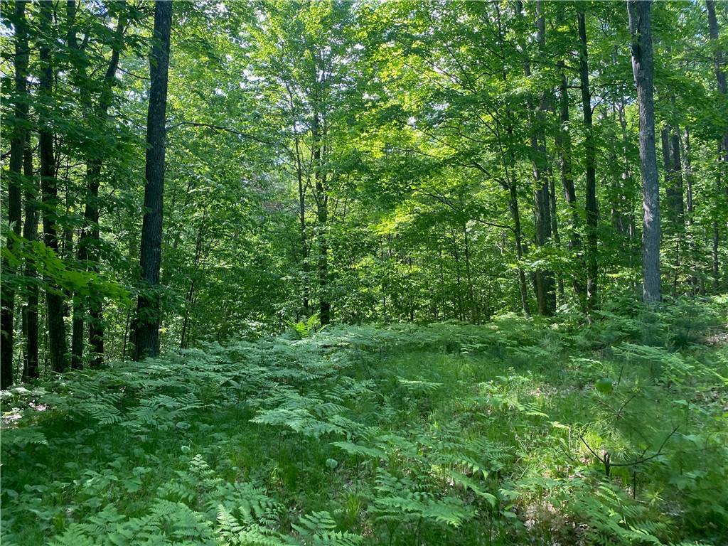 Residential at Lot 7 Secluded Trail, Hayward, WI 54843 — photo 12