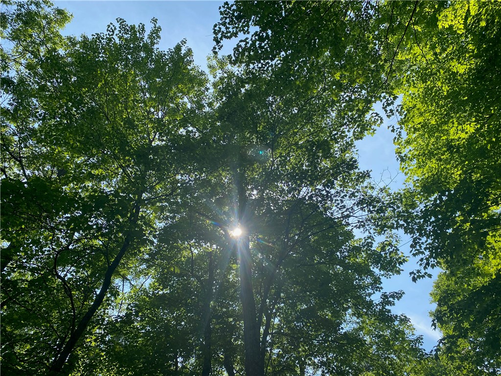 Residential at Lot 7 Secluded Trail, Hayward, WI 54843 — photo 14