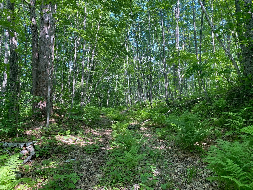 Residential at Lot 7 Secluded Trail, Hayward, WI 54843 — photo 23