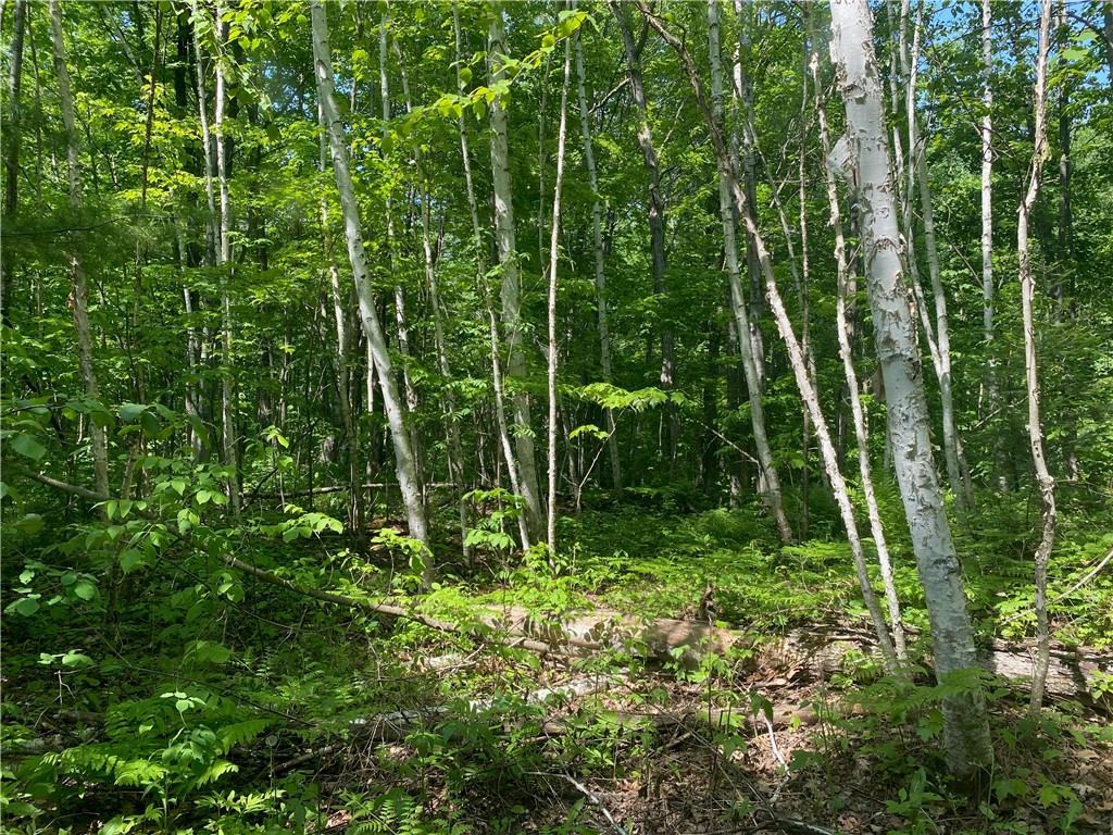 Residential at Lot 7 Secluded Trail, Hayward, WI 54843 — photo 24