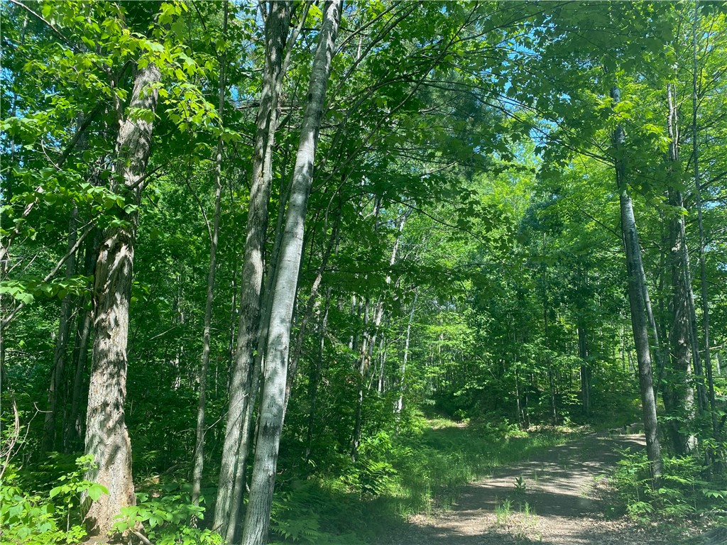 Residential at Lot 7 Secluded Trail, Hayward, WI 54843 — photo 25