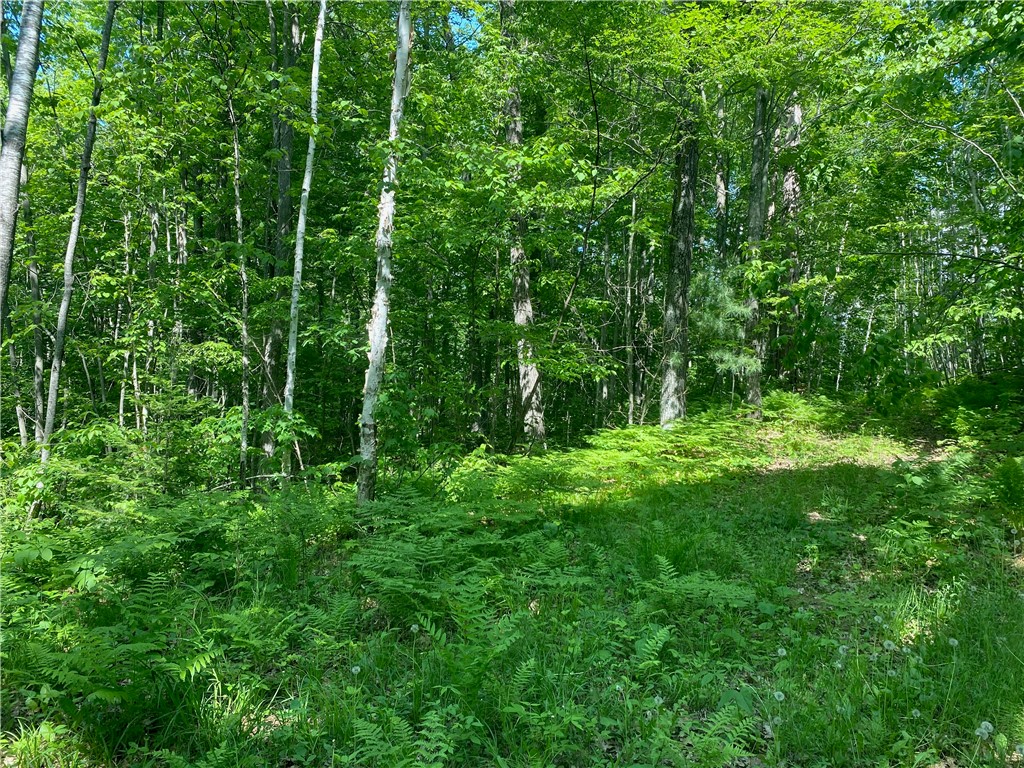Residential at Lot 7 Secluded Trail, Hayward, WI 54843 — photo 26