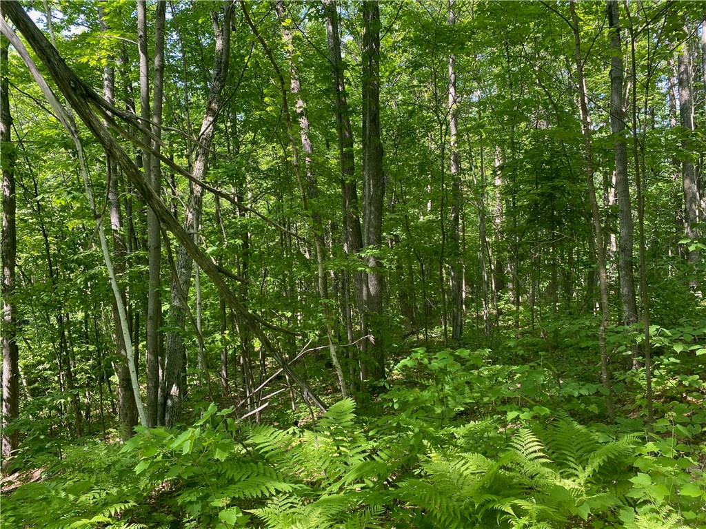 Residential at Lot 7 Secluded Trail, Hayward, WI 54843 — photo 27