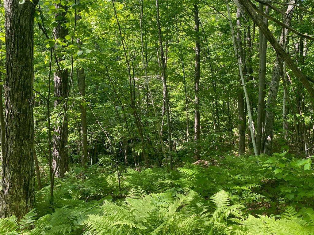 Residential at Lot 7 Secluded Trail, Hayward, WI 54843 — photo 28