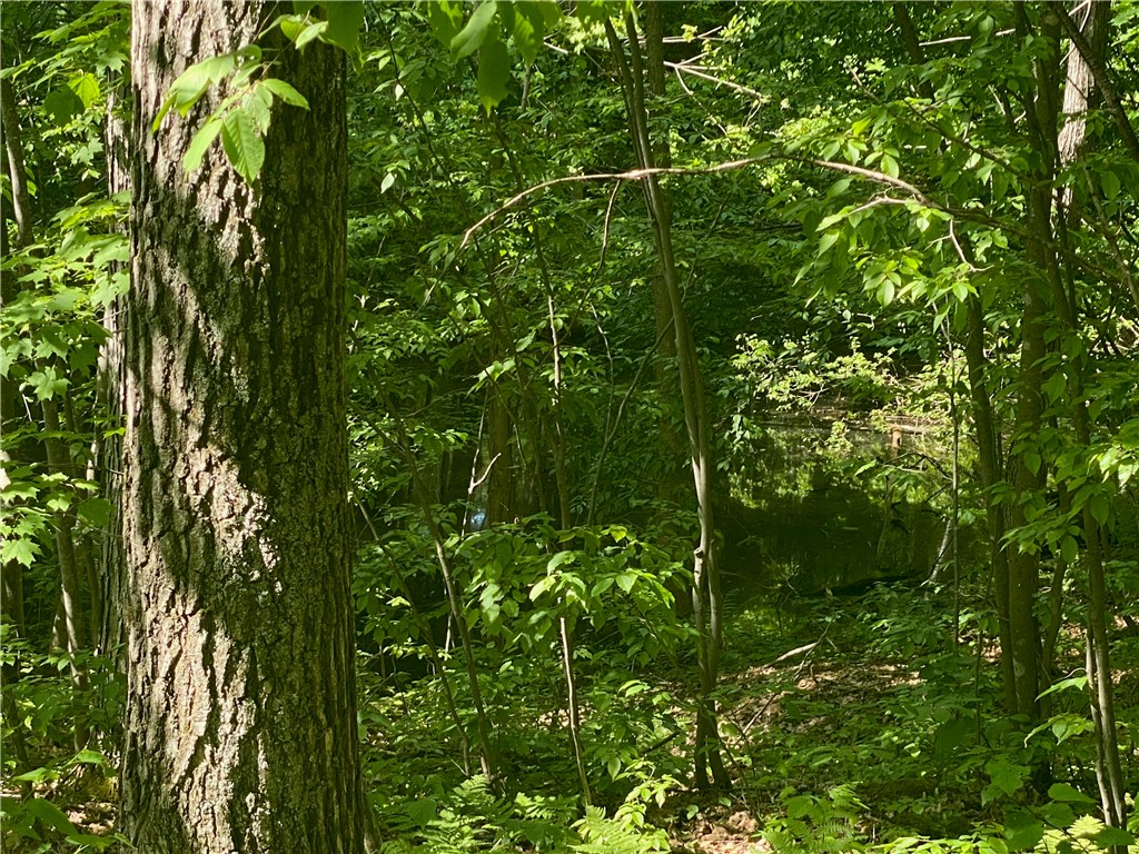 Residential at Lot 7 Secluded Trail, Hayward, WI 54843 — photo 29