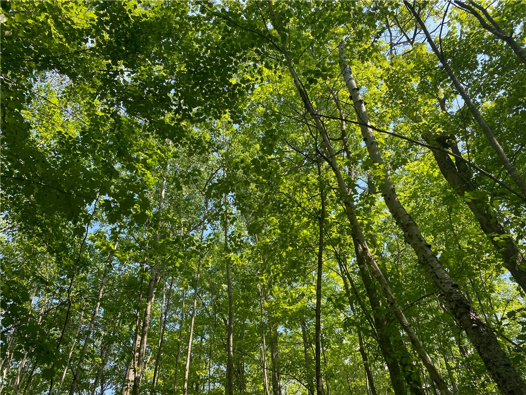 Residential at Lot 7 Secluded Trail, Hayward, WI 54843 — photo 30