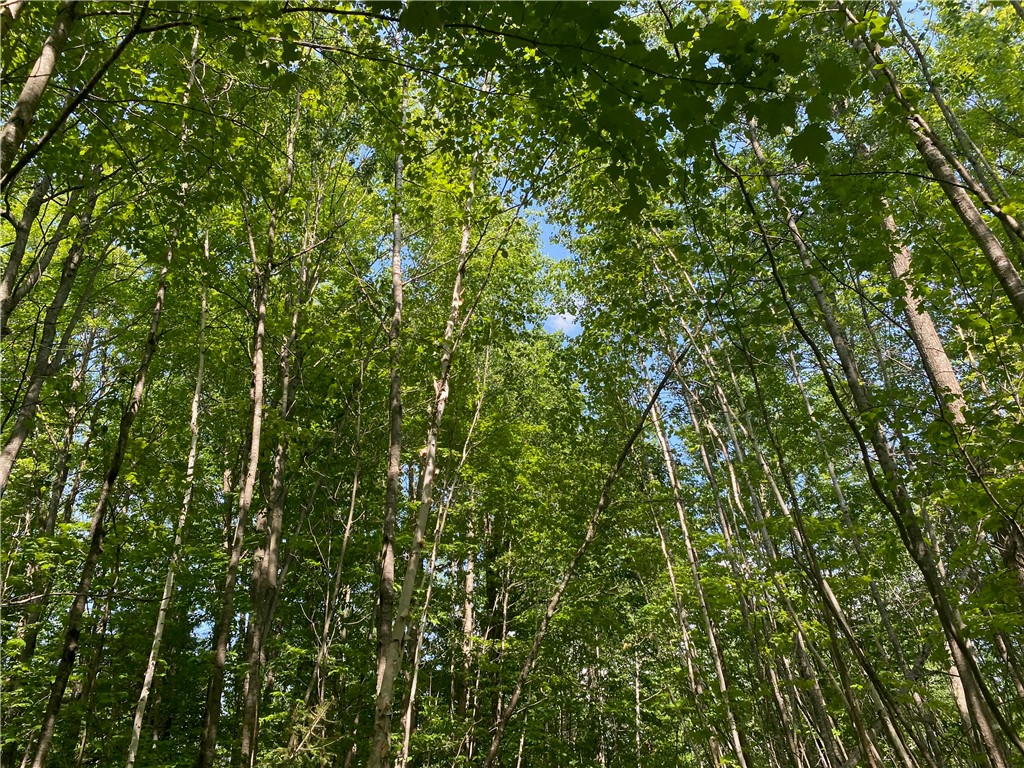 Residential at Lot 7 Secluded Trail, Hayward, WI 54843 — photo 31