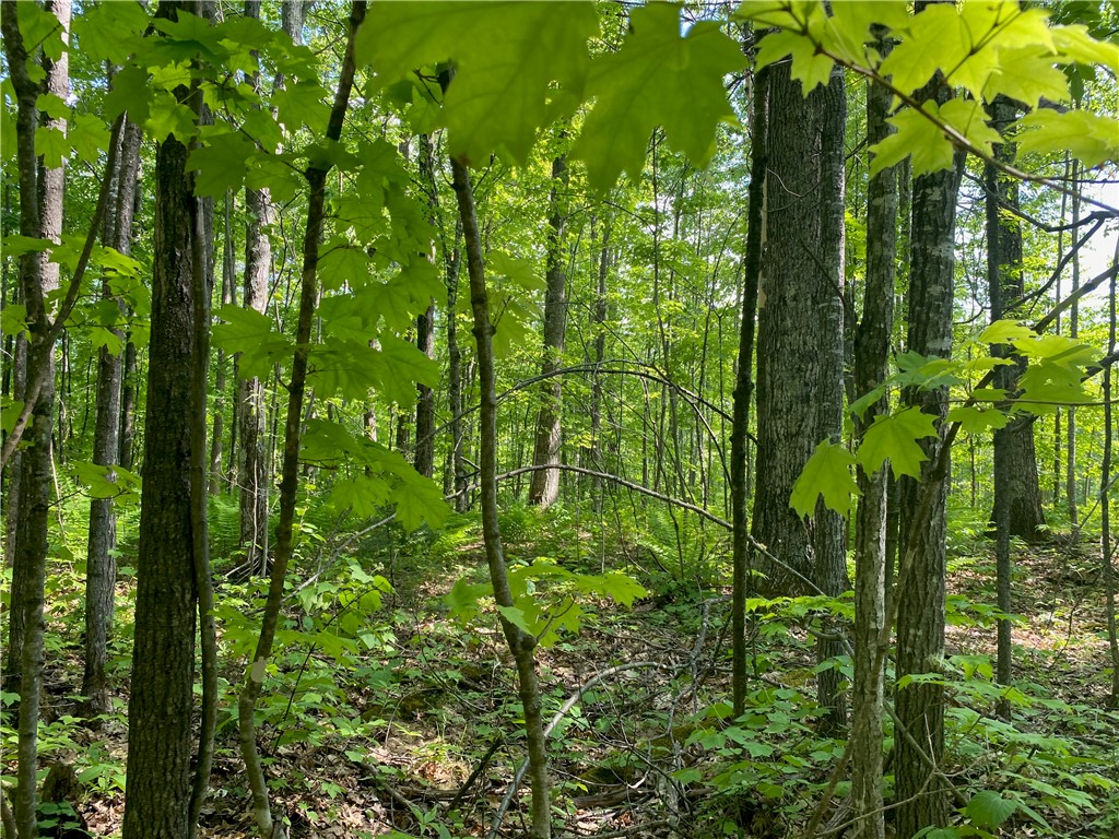 Residential at Lot 7 Secluded Trail, Hayward, WI 54843 — photo 32