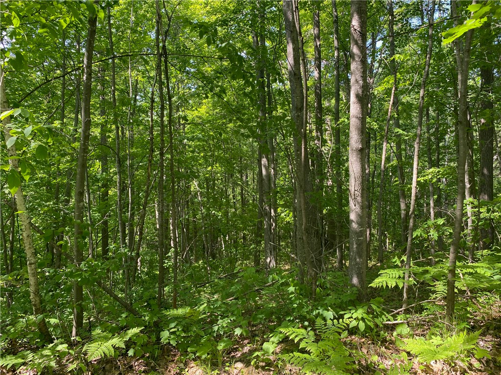 Residential at Lot 7 Secluded Trail, Hayward, WI 54843 — photo 33