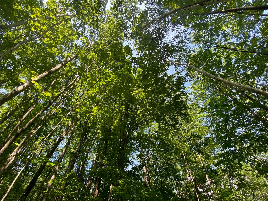 Residential at Lot 7 Secluded Trail, Hayward, WI 54843 — photo 34