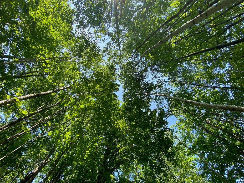 Residential at Lot 7 Secluded Trail, Hayward, WI 54843 — photo 35