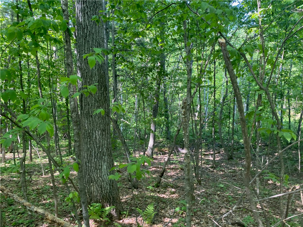 Residential at Lot 7 Secluded Trail, Hayward, WI 54843 — photo 36