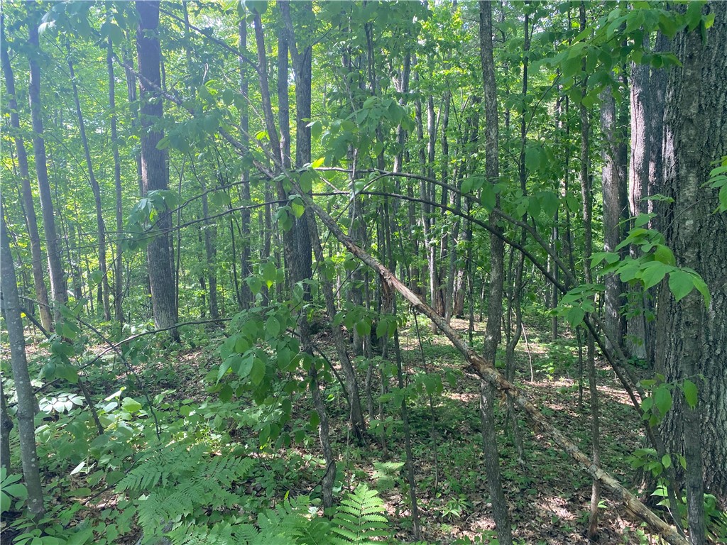 Residential at Lot 7 Secluded Trail, Hayward, WI 54843 — photo 37