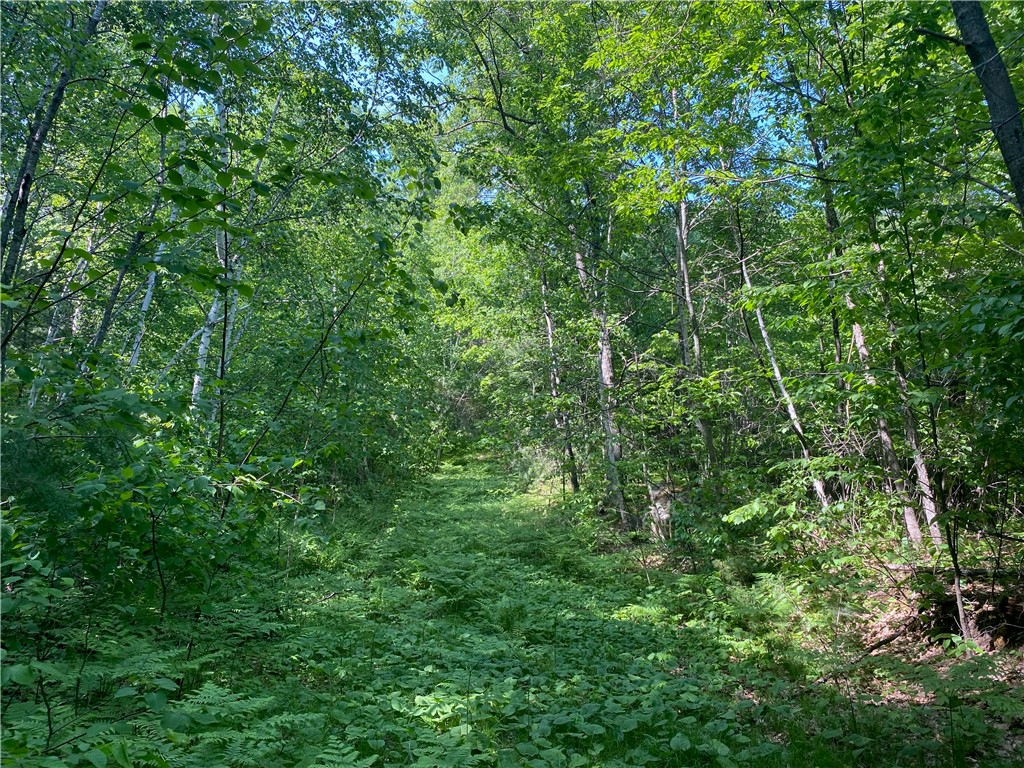 Residential at Lot 7 Secluded Trail, Hayward, WI 54843 — photo 38