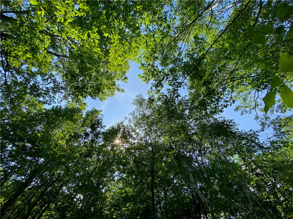 Residential at Lot 7 Secluded Trail, Hayward, WI 54843 — photo 40