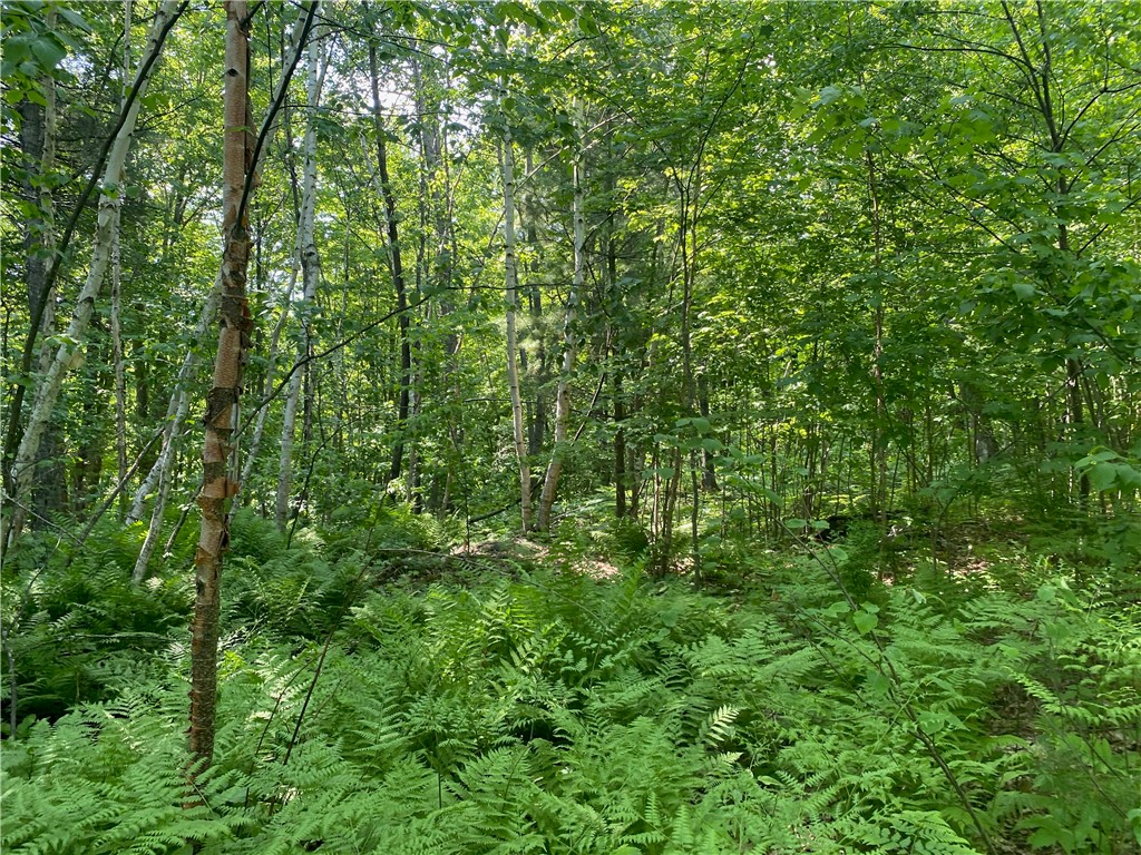 Residential at Lot 7 Secluded Trail, Hayward, WI 54843 — photo 41