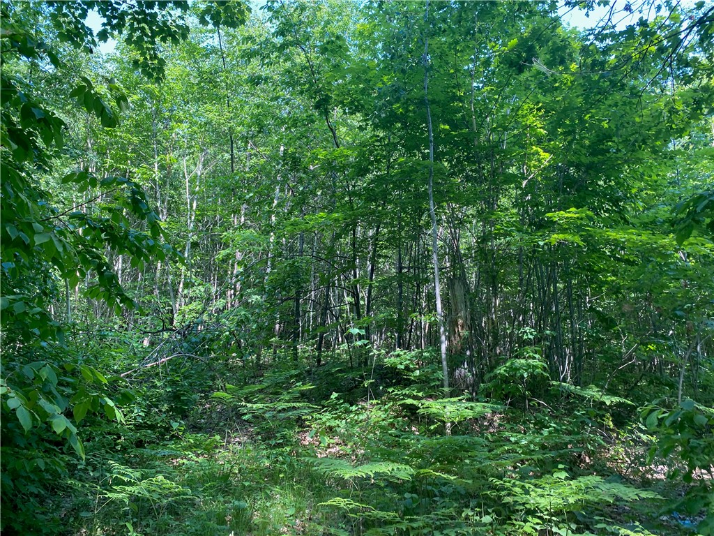 Residential at Lot 7 Secluded Trail, Hayward, WI 54843 — photo 8