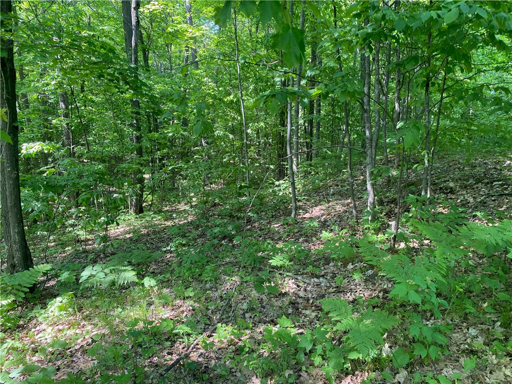 Residential at Lot 7 Secluded Trail, Hayward, WI 54843 — photo 9