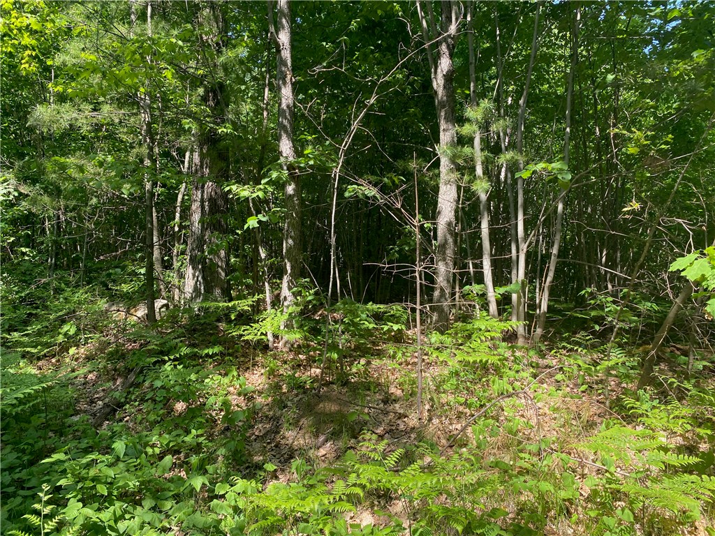 Residential at Lot 7 Secluded Trail, Hayward, WI 54843 — photo 10