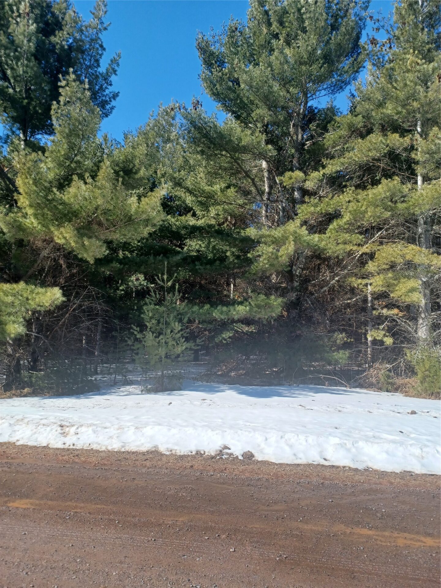 Residential at Lot 9 Owen Lane, Cable, WI 54821 — photo 2