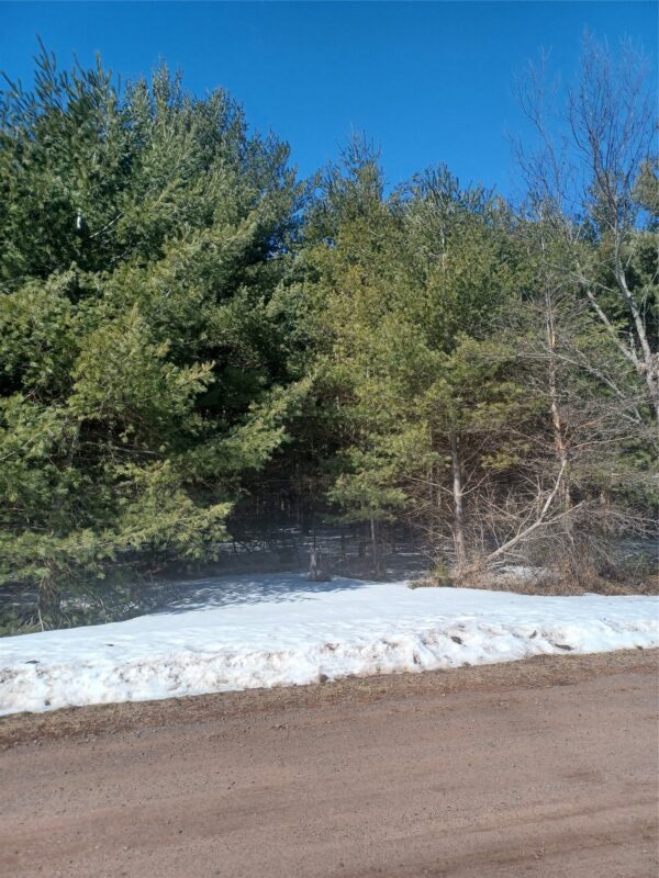 Residential at Lot 9 Owen Lane, Cable, WI 54821 — photo 3
