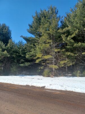Residential at Lot 9 Owen Lane, Cable, WI 54821 — photo 1