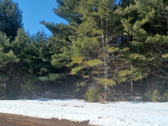 Residential at Lot 9 Owen Lane, Cable, WI 54821 — photo 1
