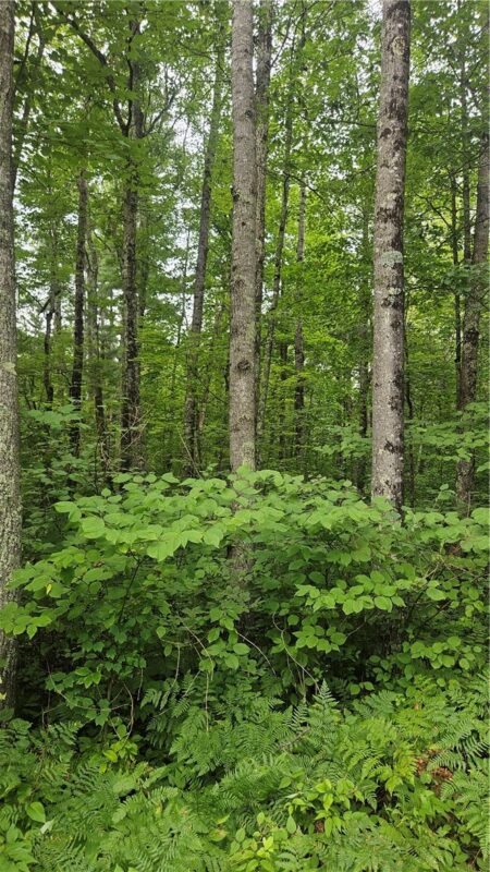 34-40 BLK 2 County Road K  in Hayward and a list price of 30000