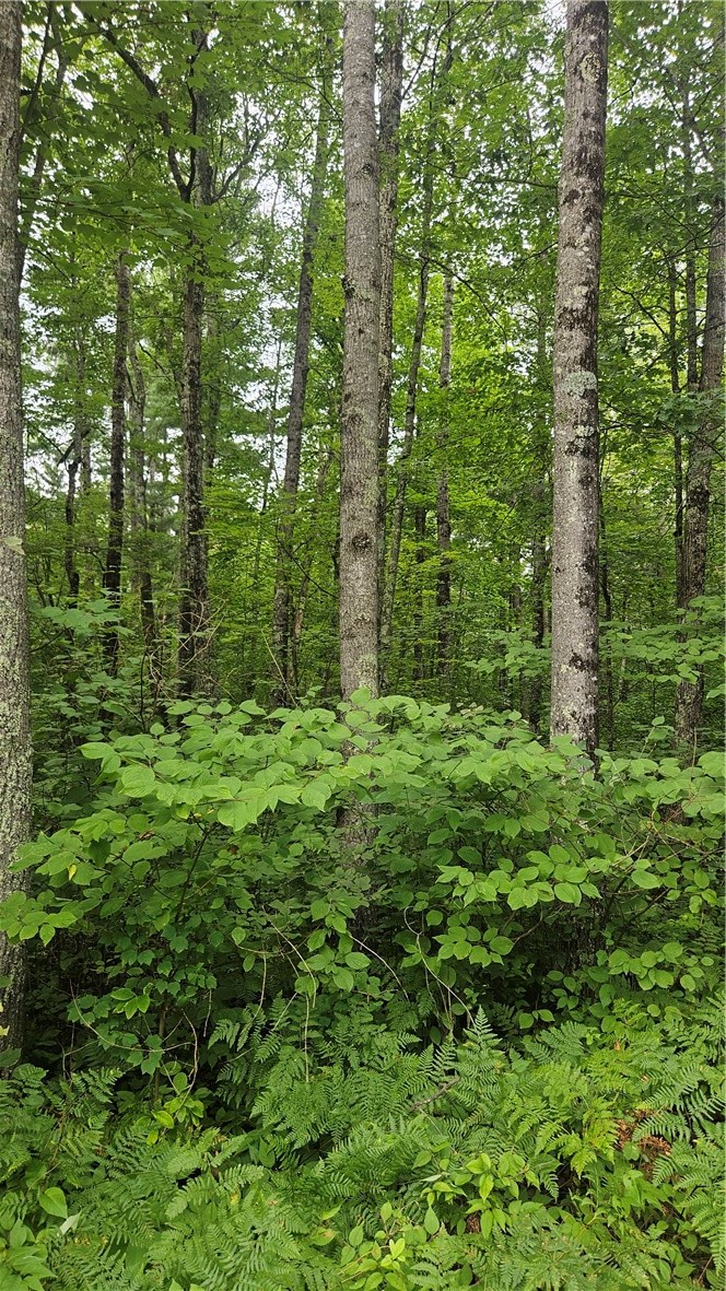 34-40 BLK 2 County Road K  in Hayward and a list price of 30000