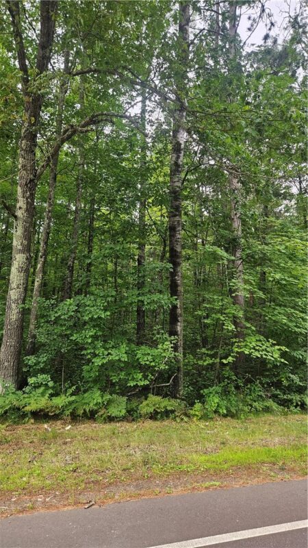 Residential at Lots 1-2, 34-40 BLK 2 County Road K, Hayward, WI 54843 — photo 6