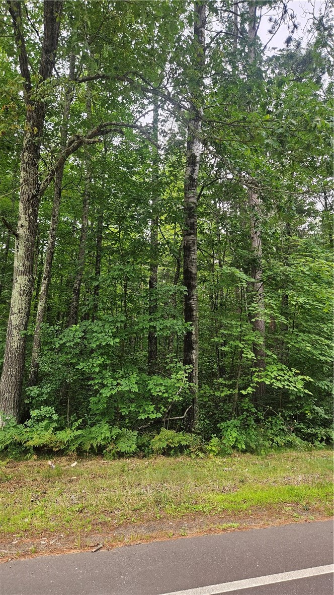 Residential at Lots 1-2, 34-40 BLK 2 County Road K, Hayward, WI 54843 — photo 6