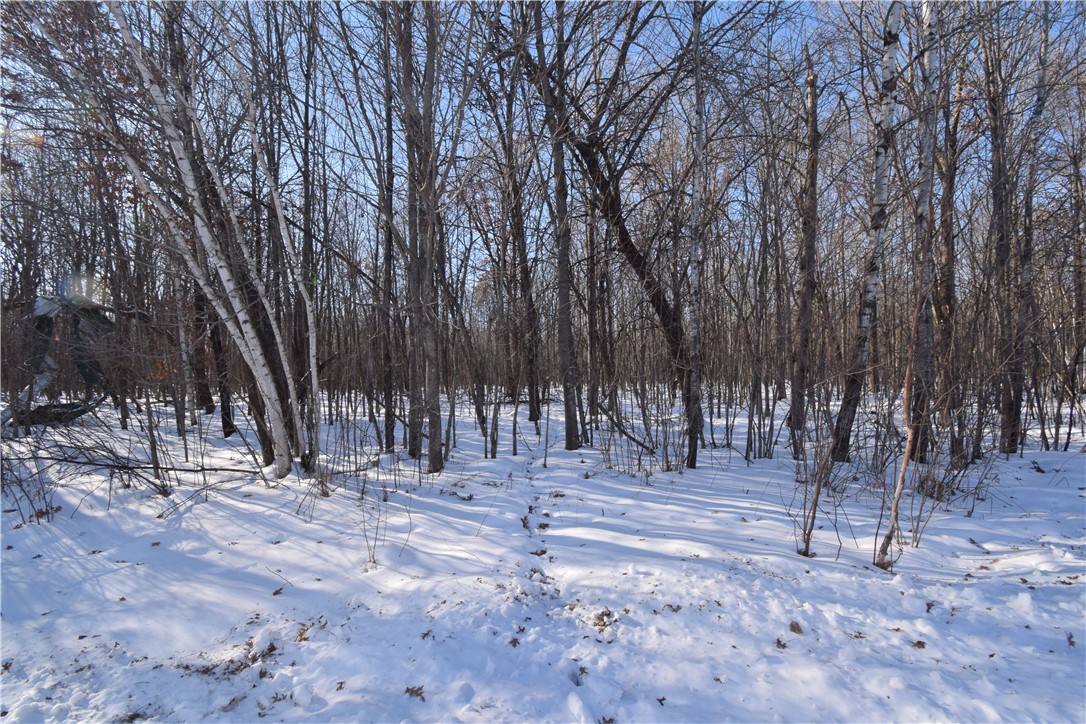 Land at Lots 1-4 Clam Lake Drive, Siren, WI 54872 — photo 12