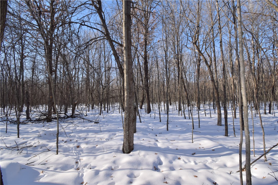 Land at Lots 1-4 Clam Lake Drive, Siren, WI 54872 — photo 13