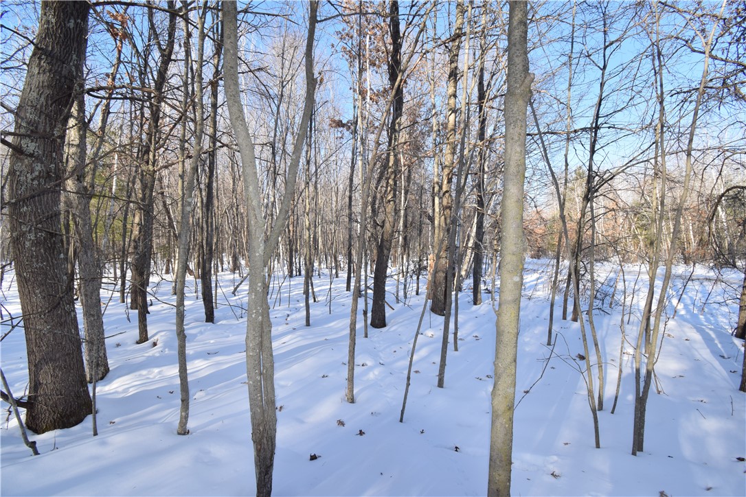 Land at Lots 1-4 Clam Lake Drive, Siren, WI 54872 — photo 14