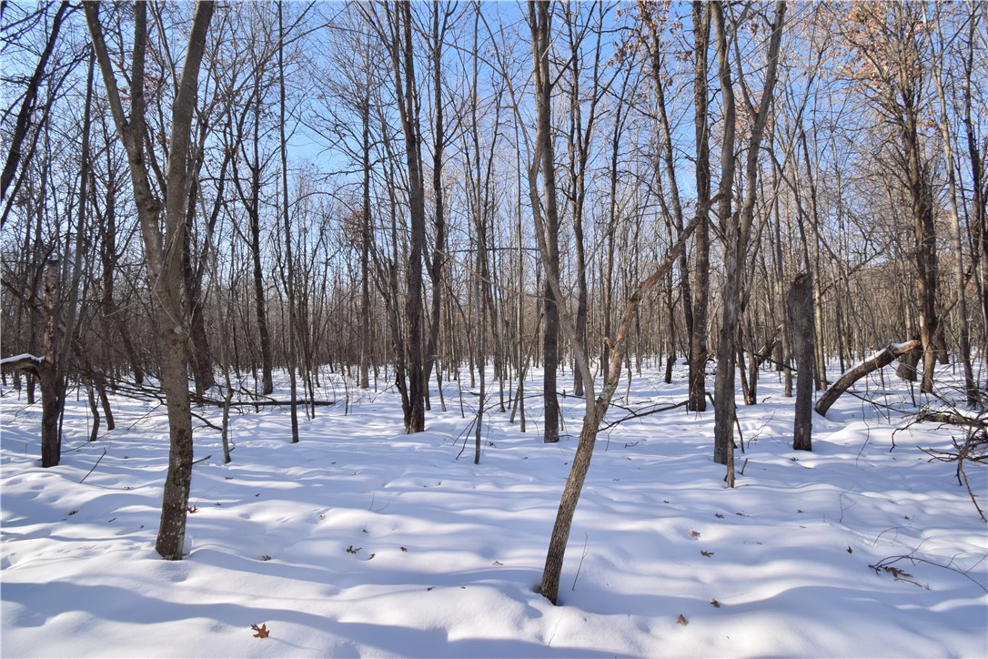 Land at Lots 1-4 Clam Lake Drive, Siren, WI 54872 — photo 18