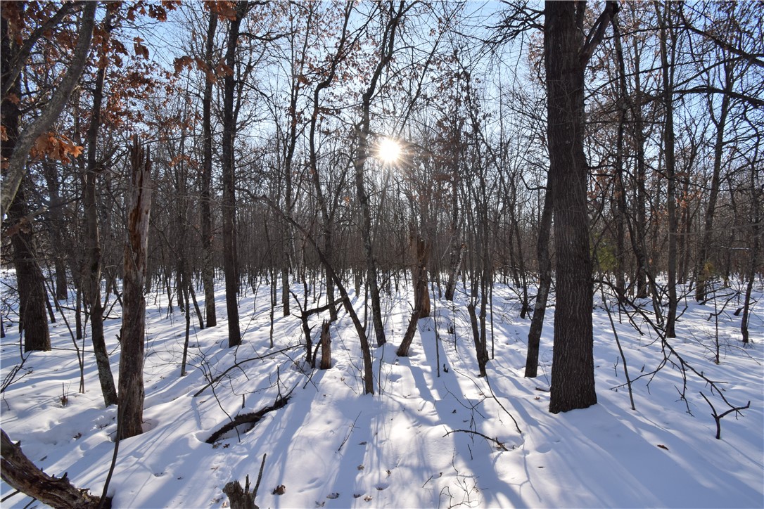 Land at Lots 1-4 Clam Lake Drive, Siren, WI 54872 — photo 19