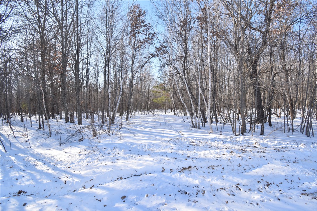 Land at Lots 1-4 Clam Lake Drive, Siren, WI 54872 — photo 21