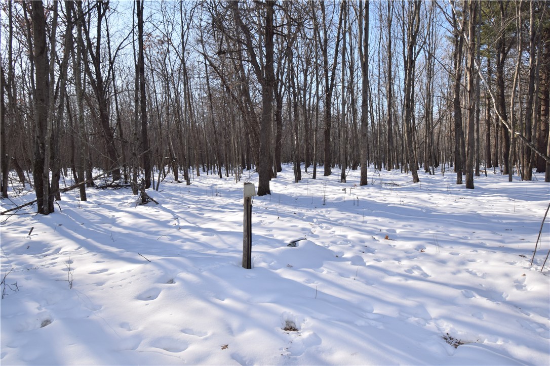 Land at Lots 1-4 Clam Lake Drive, Siren, WI 54872 — photo 22