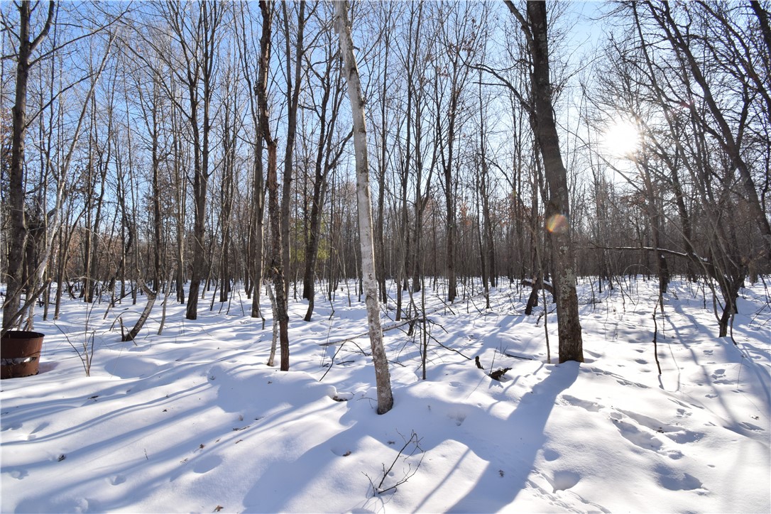 Land at Lots 1-4 Clam Lake Drive, Siren, WI 54872 — photo 6