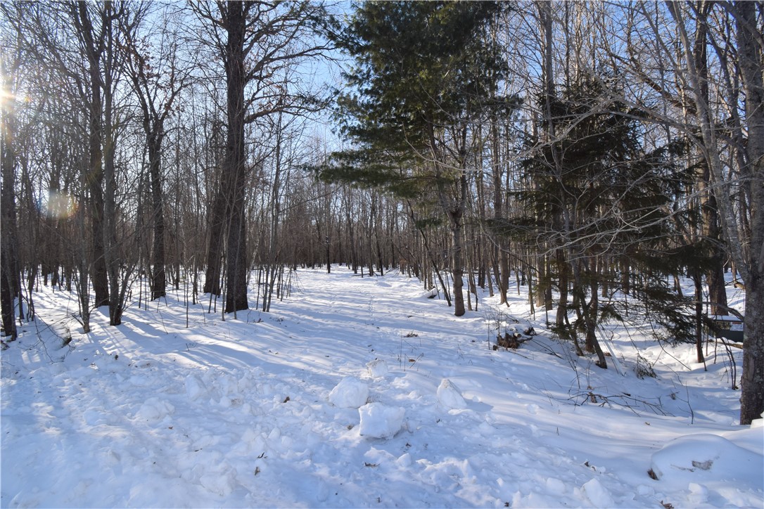Land at Lots 1-4 Clam Lake Drive, Siren, WI 54872 — photo 7