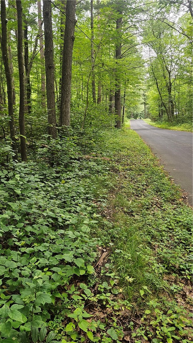 36-40 BLK 13 Dixon Ave  in Hayward and a list price of 23500