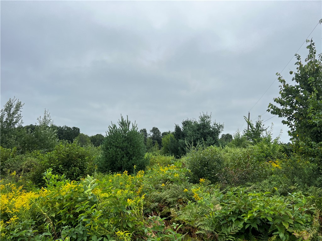 Residential at Lots 20 & 21 250th Street, Cadott, WI 54727 — photo 11