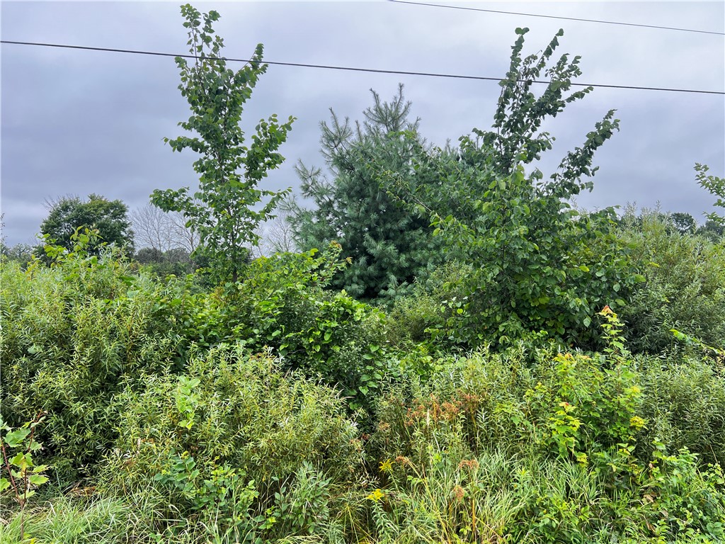 Residential at Lots 20 & 21 250th Street, Cadott, WI 54727 — photo 12