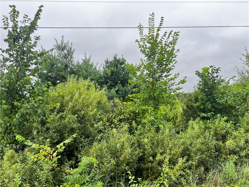 Residential at Lots 20 & 21 250th Street, Cadott, WI 54727 — photo 13