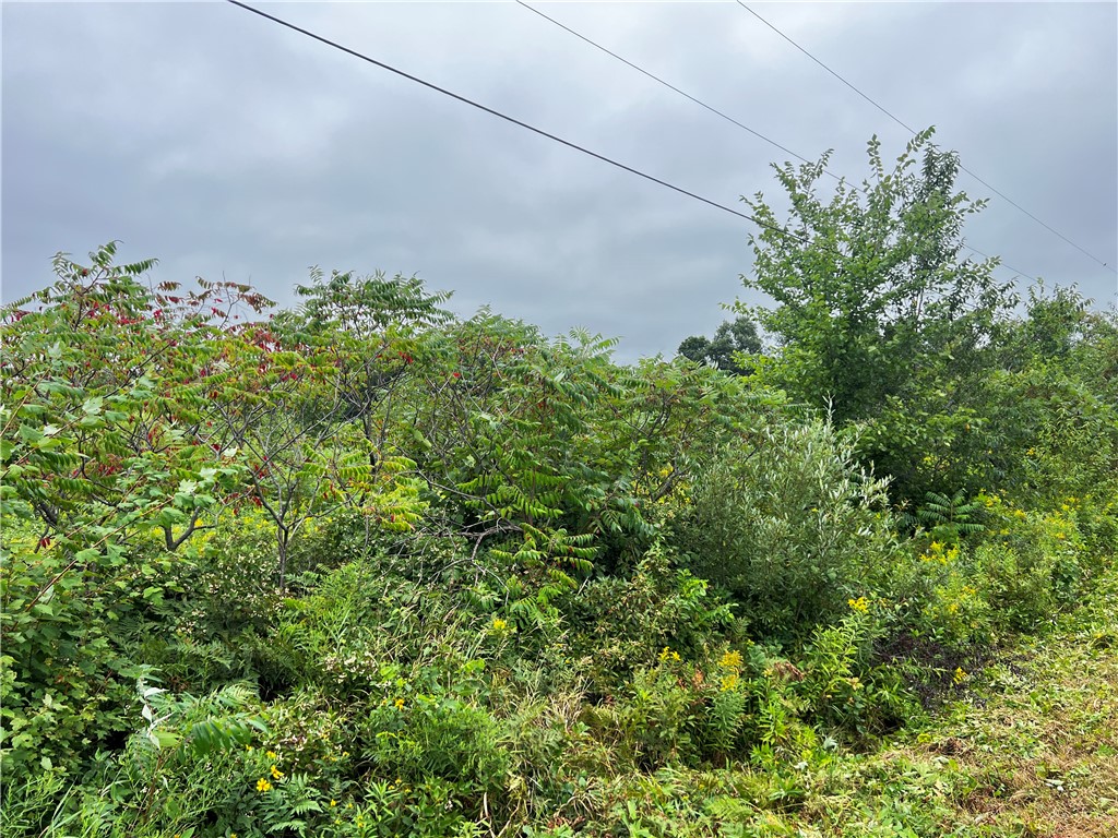 Residential at Lots 20 & 21 250th Street, Cadott, WI 54727 — photo 14