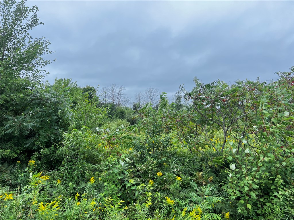 Residential at Lots 20 & 21 250th Street, Cadott, WI 54727 — photo 15