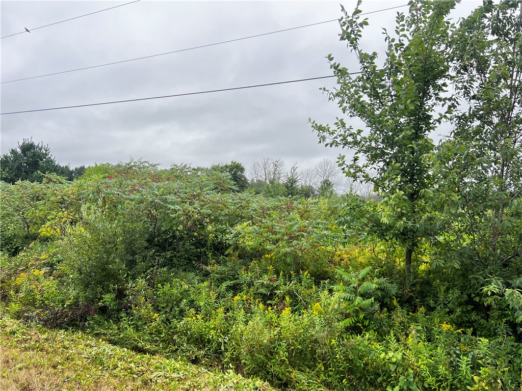 Residential at Lots 20 & 21 250th Street, Cadott, WI 54727 — photo 16