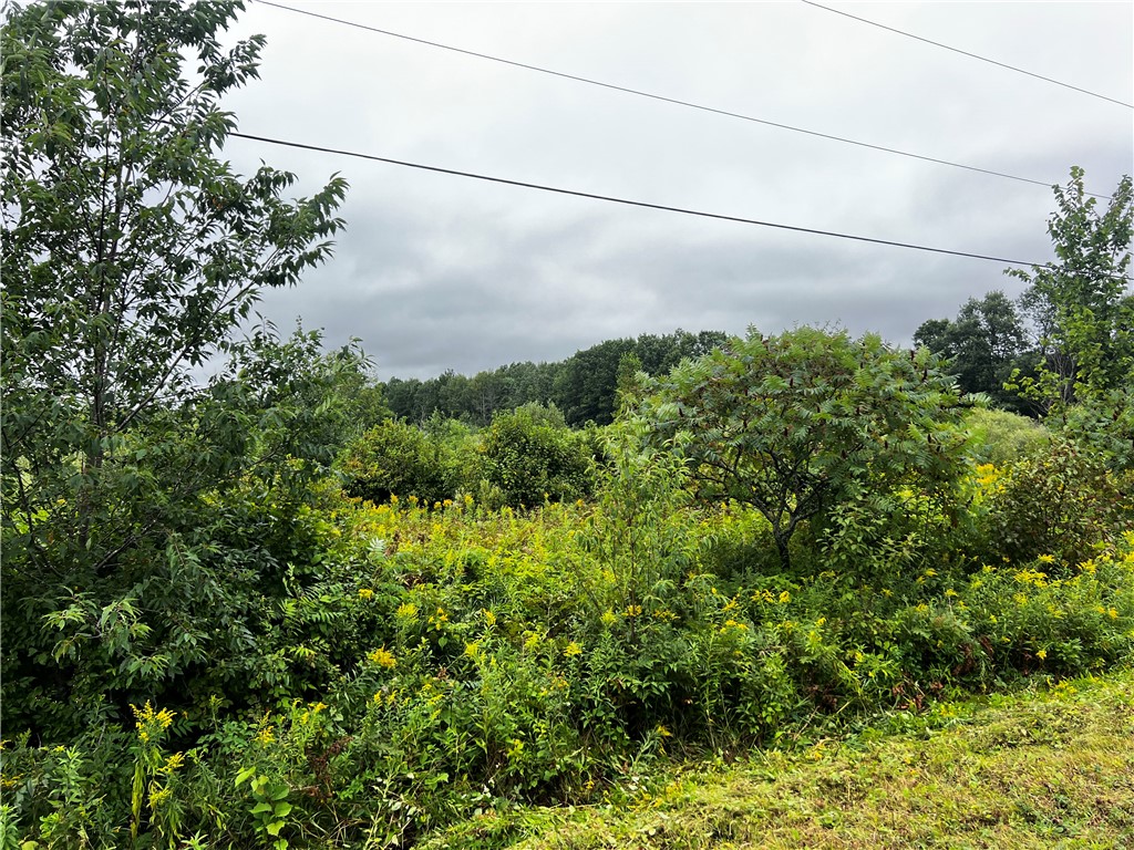 Residential at Lots 20 & 21 250th Street, Cadott, WI 54727 — photo 17