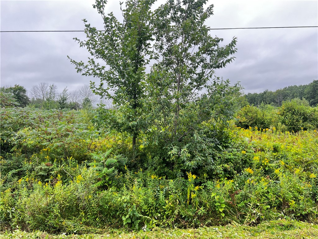 Residential at Lots 20 & 21 250th Street, Cadott, WI 54727 — photo 18