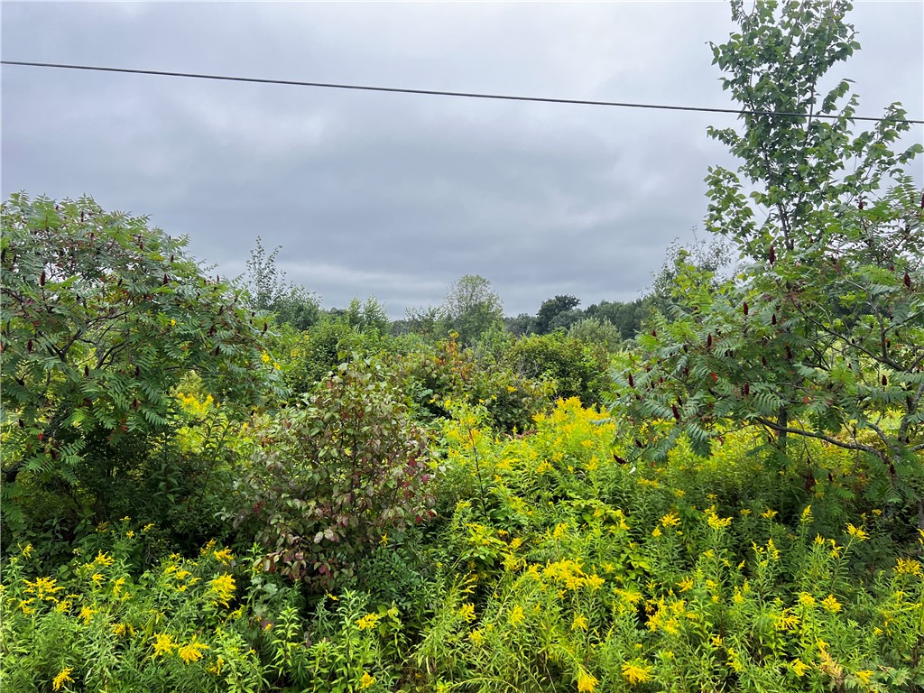 Residential at Lots 20 & 21 250th Street, Cadott, WI 54727 — photo 19